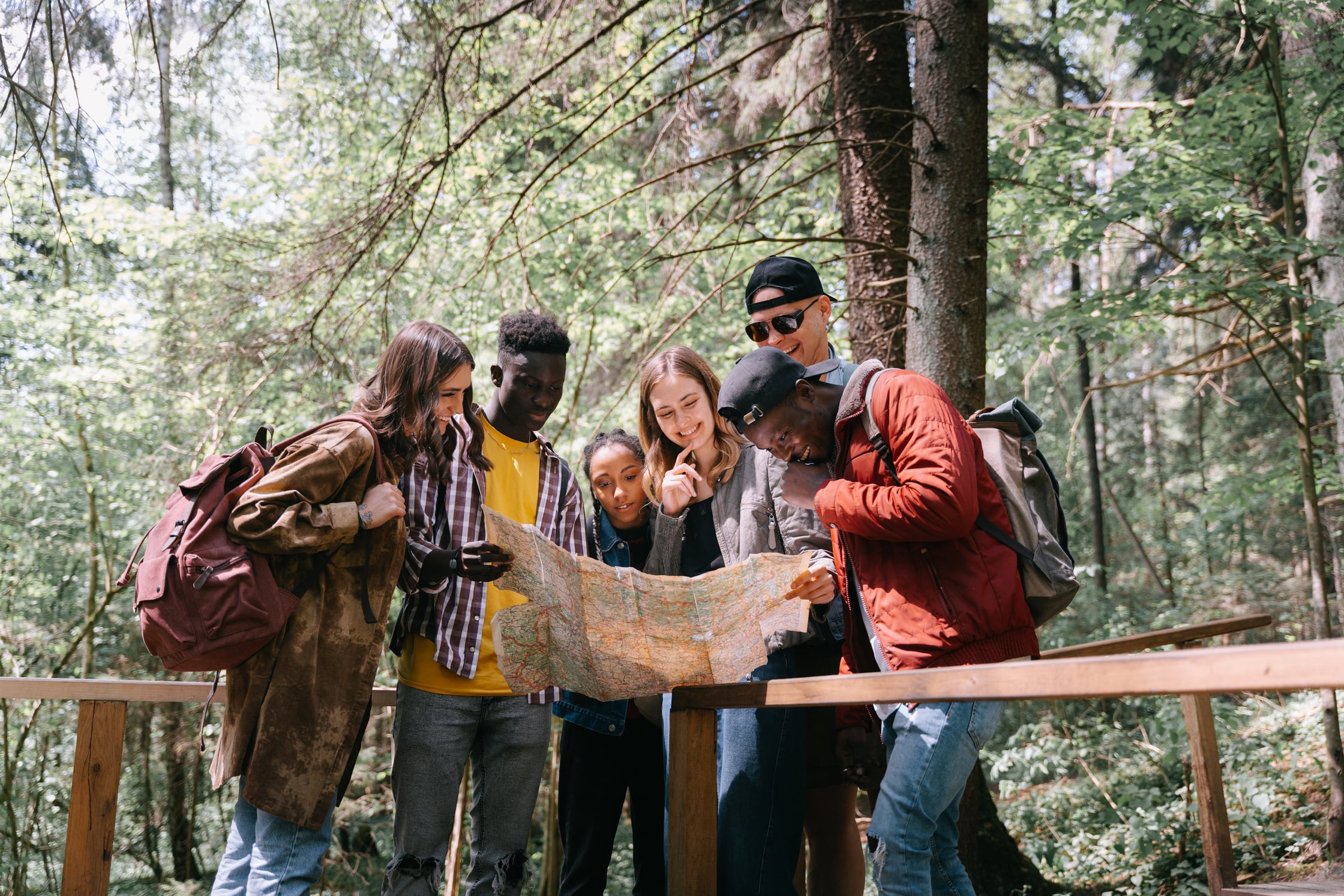 People using a Map while in the Forest